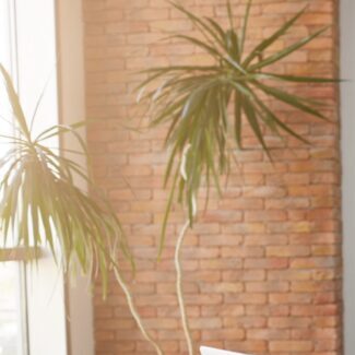 Automatiser lorsqu'on est syndic bénévole permet de se libérer du temps et de se recentrer sur son cœur de métier : la relation client